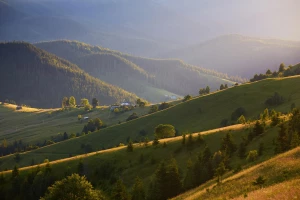 BDO Austria a transport transgraniczny: praktyczne wskazówki  
27